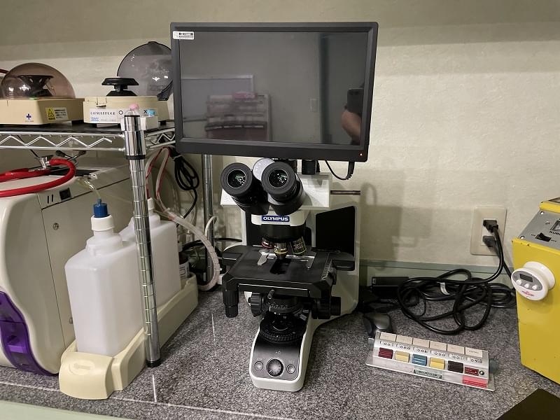 顕微鏡と顕微鏡写真撮影装置